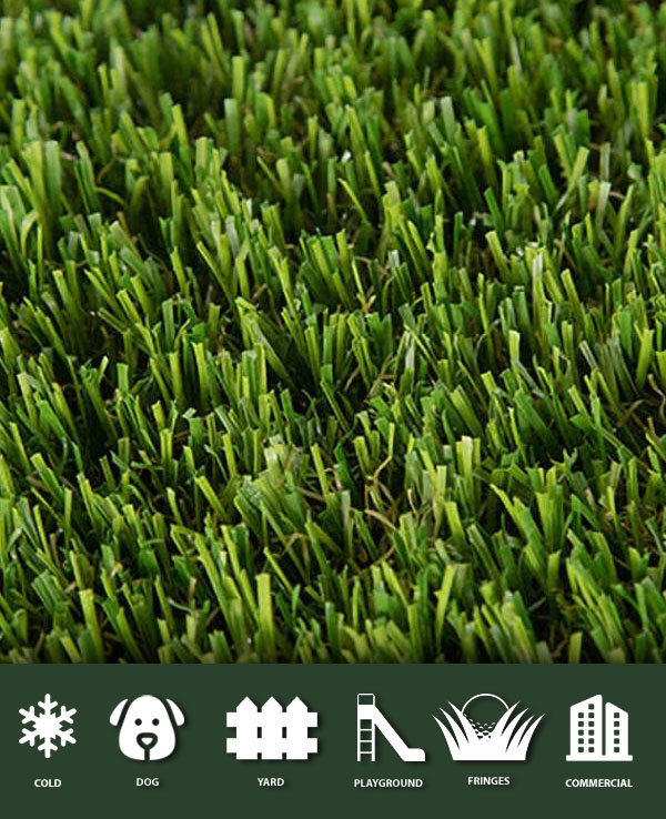 Cool Power Forest is a cooler alternative grass.